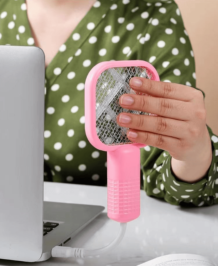 Electric Fly Swatter