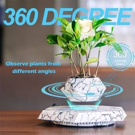 360-degree plant observation device with a white flower in a pot on a wooden surface.