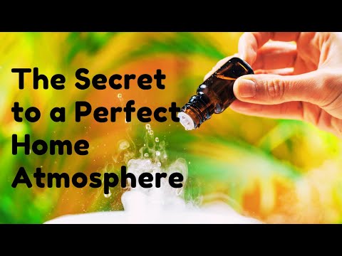 Diffuser Home Dehumidifier YouTube Video
