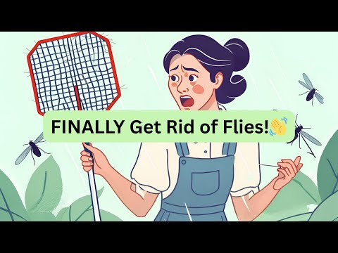 Fly Swatter YouTube Video