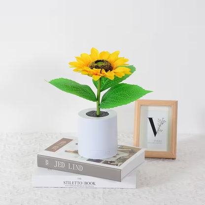 Sunflower in a white pot on a book with a framed picture in the background