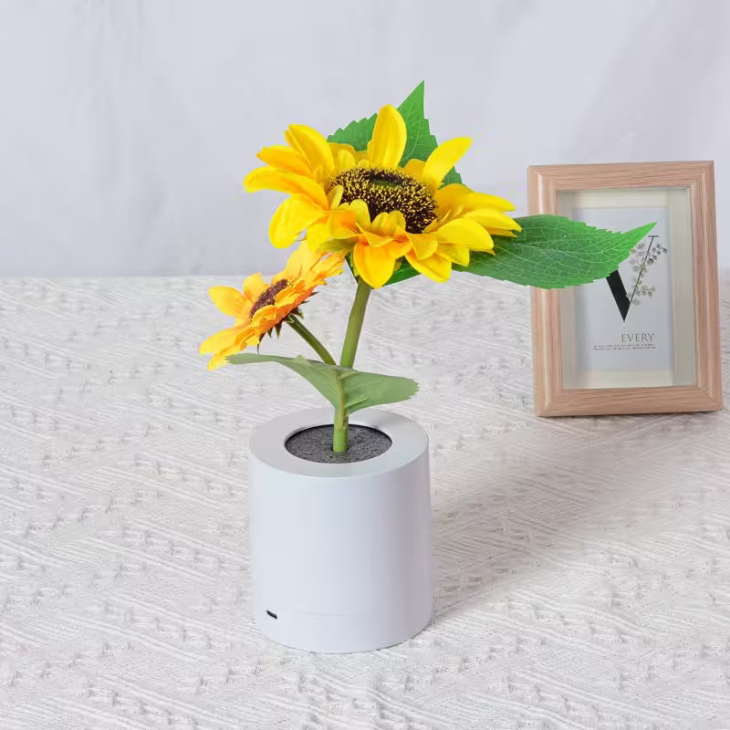 White vase with sunflowers on a textured surface with a framed picture in the background