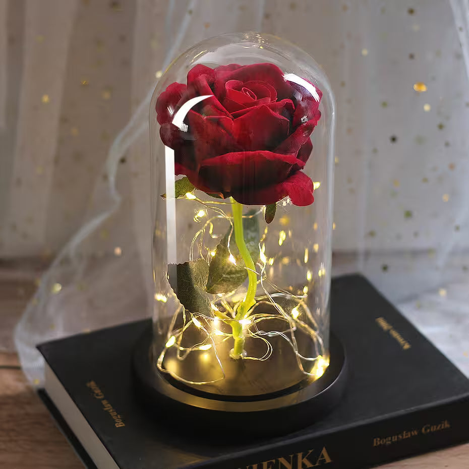 Red rose in a glass dome with LED lights on a book