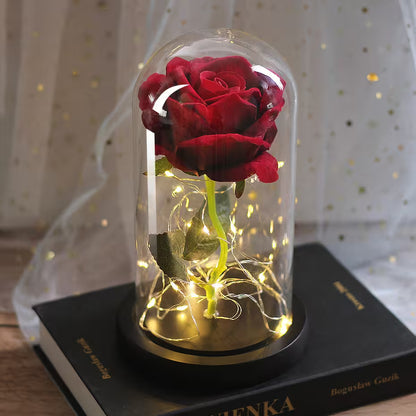 Red rose in a glass dome with LED lights on a book