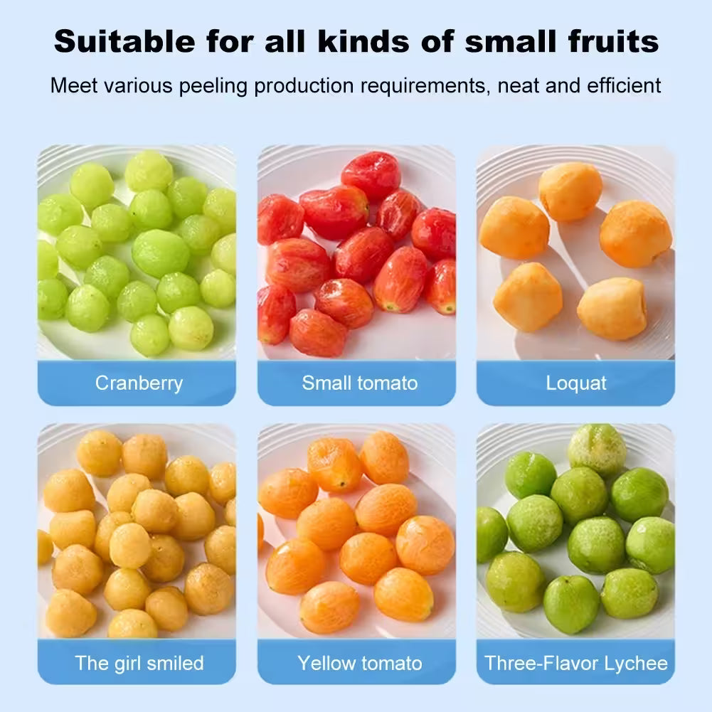 Fruits including cranberries, small tomatoes, loquats, 'The girl smiled', yellow tomatoes, and three-flavor lychees on a white background with blue labels.