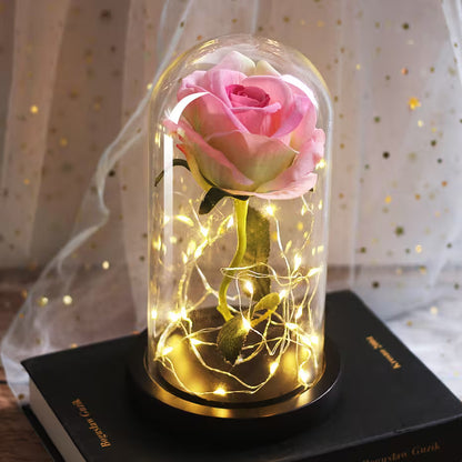 Pink rose in a glass dome with fairy lights on a book against a soft, blurred background