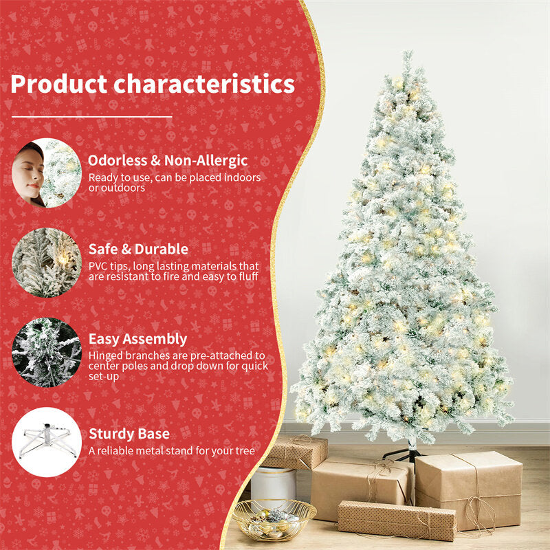 White Christmas Tree Characteristics