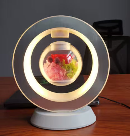 Decorative lamp with a small fishbowl inside on a wooden surface