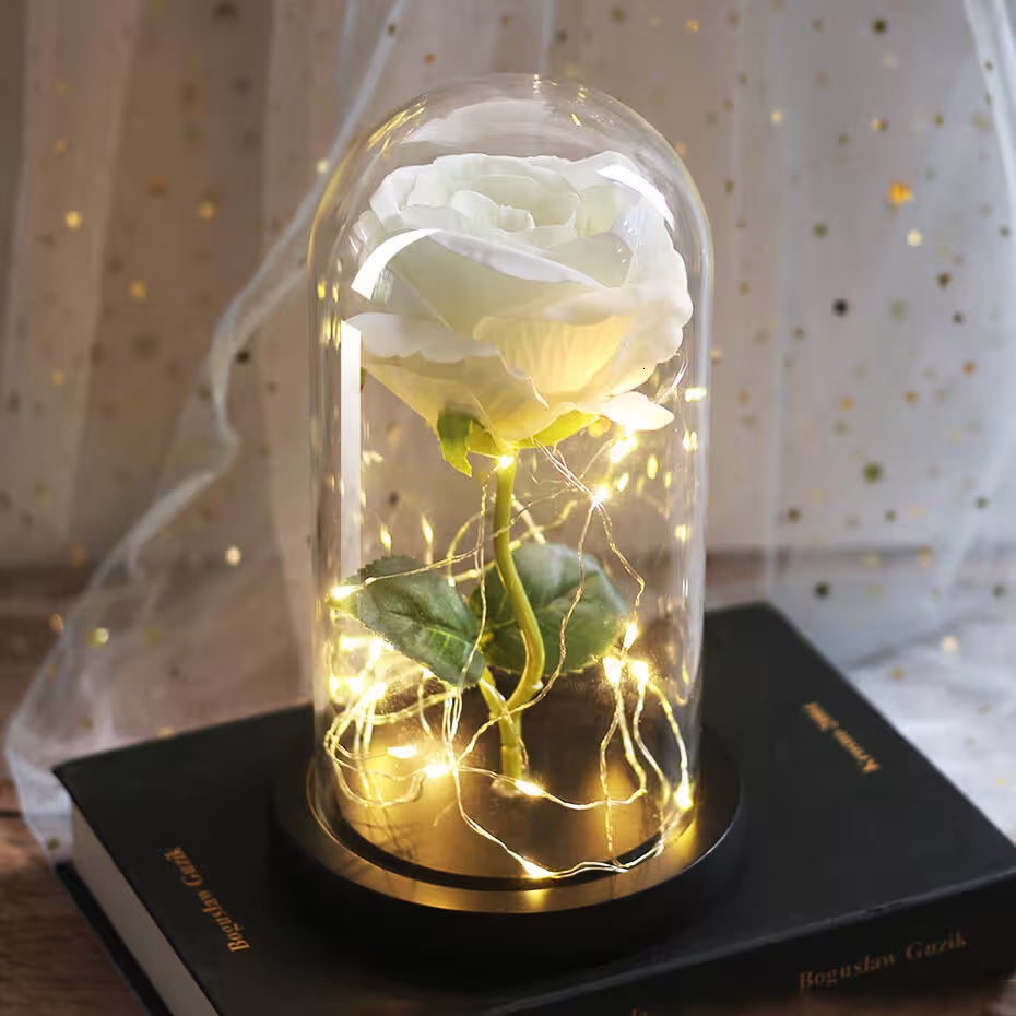 White rose in a glass dome with fairy lights on a book against a soft, blurred background
