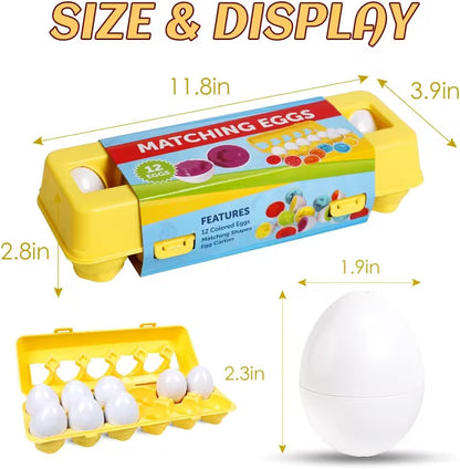 Yellow egg carton with white eggs and colorful labels, showing dimensions and features.