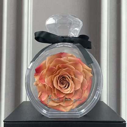 Preserved rose in a clear container with a black bow on a gray background