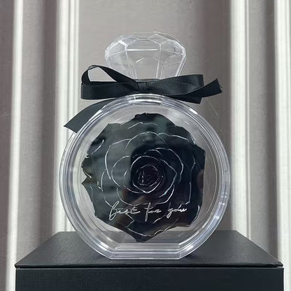 Black rose in a clear container with a diamond-shaped lid on a gray background