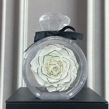 Preserved white rose in a clear container with a black bow on a gray background