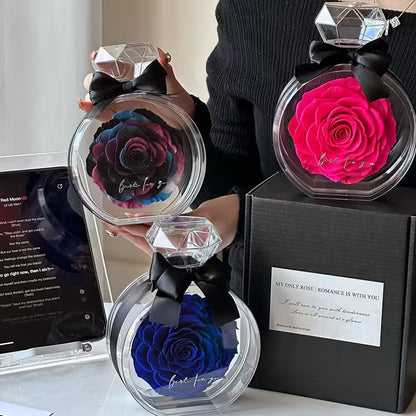 Three preserved roses in clear diamond-shaped containers held by a person.