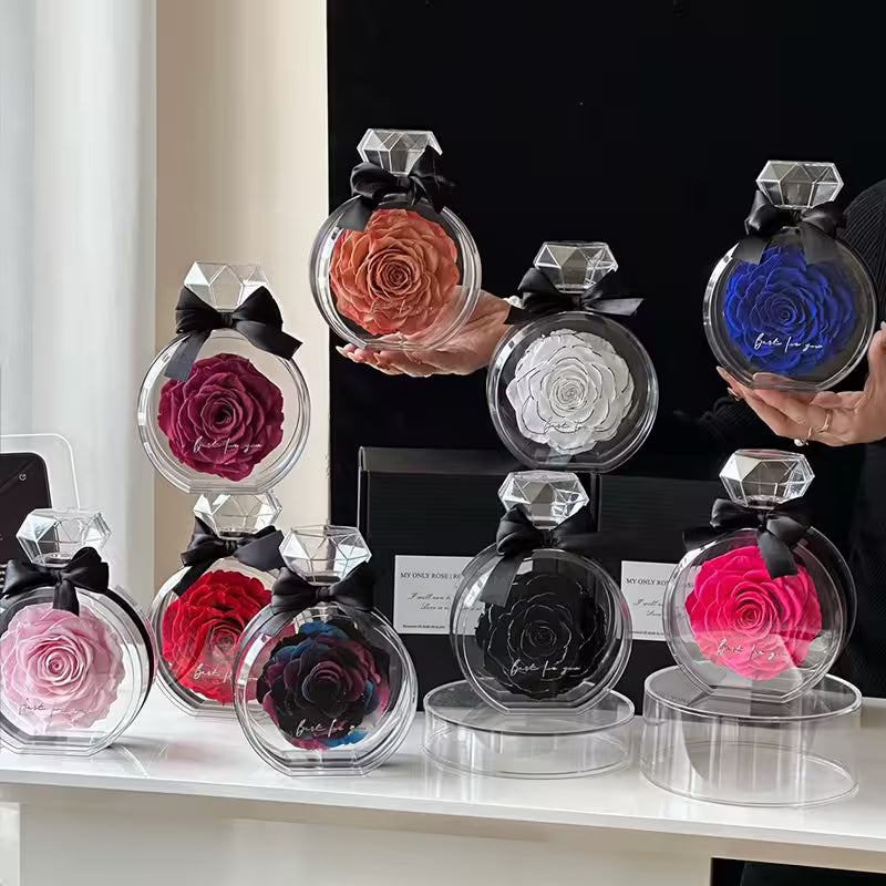 Assorted colored roses in transparent containers on a white surface.