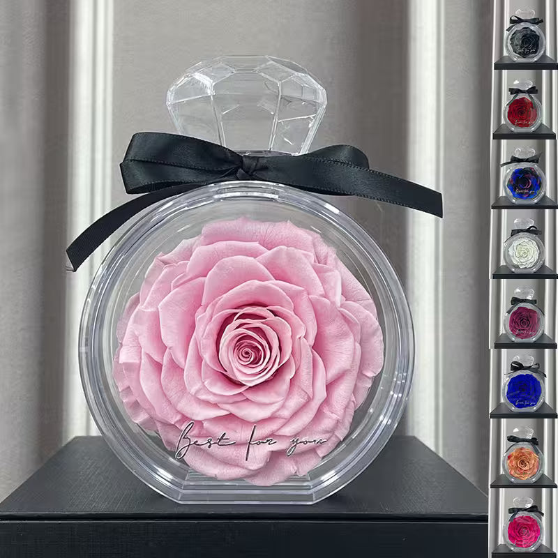 Pink rose in a clear container with a black bow, surrounded by color swatches.