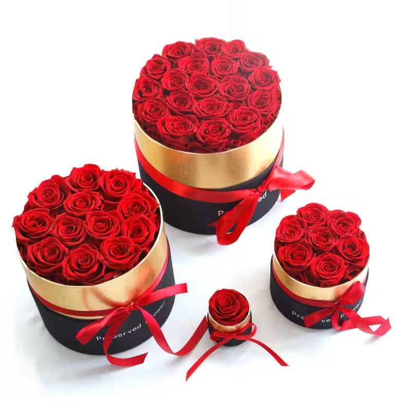 Three round flower boxes filled with red roses on a white background