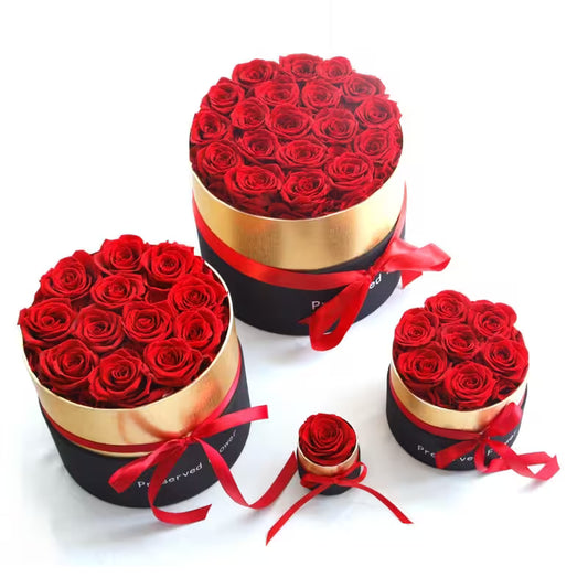 Three round flower boxes filled with red roses on a white background