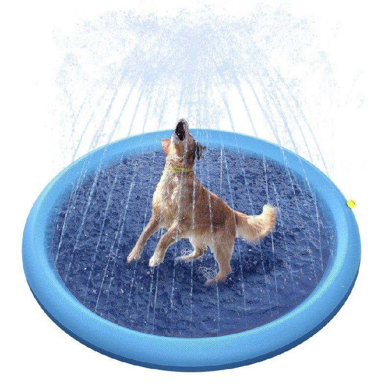 Fun Water Play for Kids and Pets