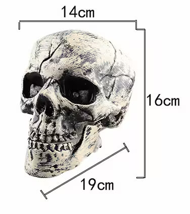 Halloween Outdoor Decorations – LED Light Up Skeleton Arm Hand, Lawn & Garden Halloween Decoration 2026