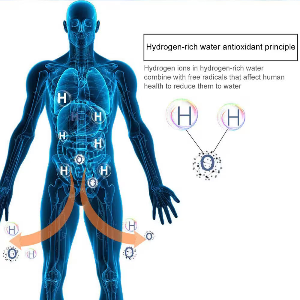 Diagram of a human body with hydrogen ions and antioxidant principle explained.