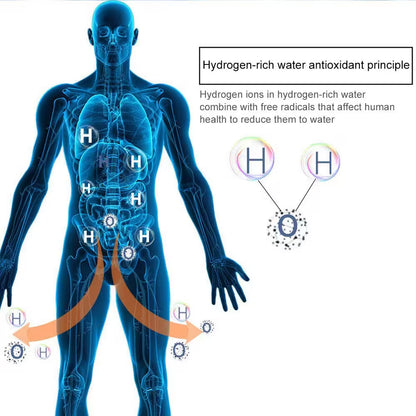 Diagram of a human body with hydrogen ions and antioxidant principle explained.
