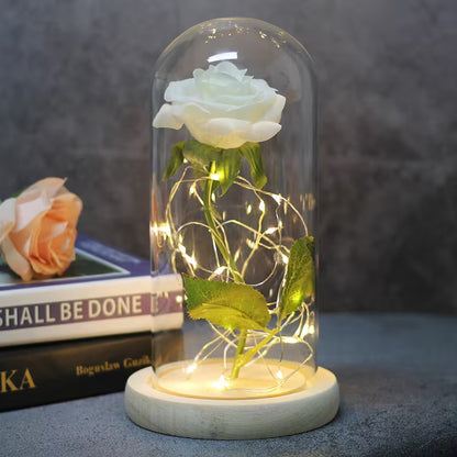 White rose in a glass dome with LED lights on a dark background