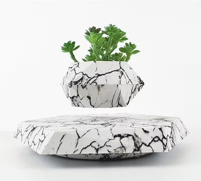 Marble-patterned planter with a small plant on a white background