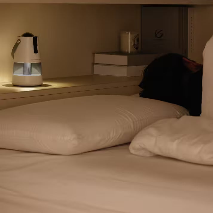 Bedroom scene with a lamp on a nightstand and a dog lying on the bed.