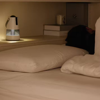 Bedroom scene with a lamp on a nightstand and a dog lying on the bed.