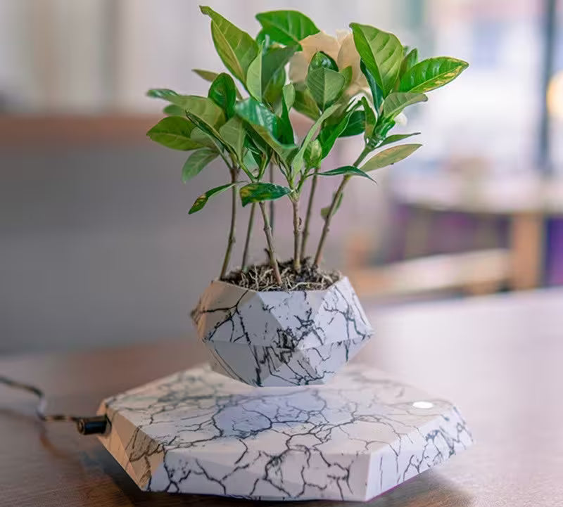 Geometric marble-patterned planter with a small potted plant on a wooden surface.