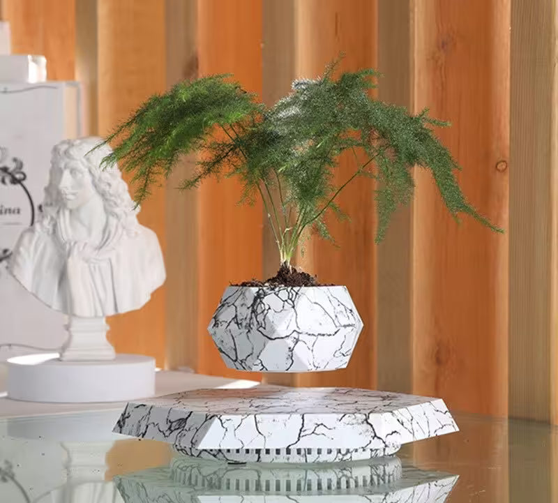 Decorative planter with a plant on a marble-like surface against a wooden background