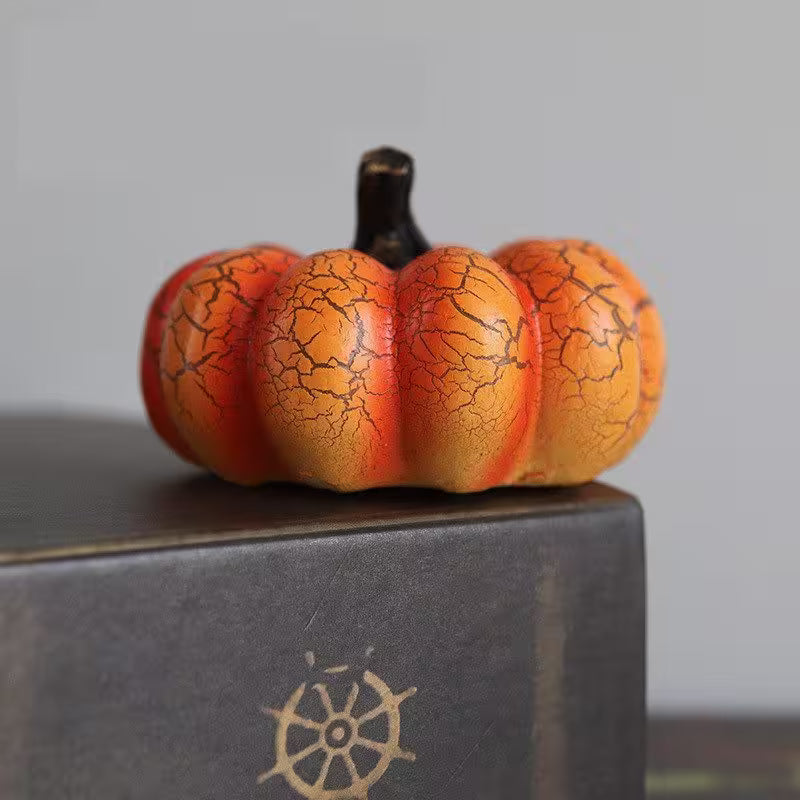 Small pumpkin with cracked texture on a gray surface
