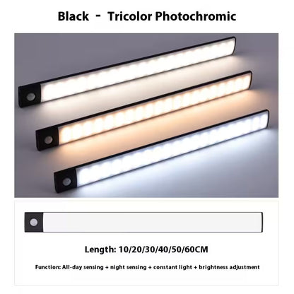 Three black tricolor photochromic lights with different color outputs on a gray background.
