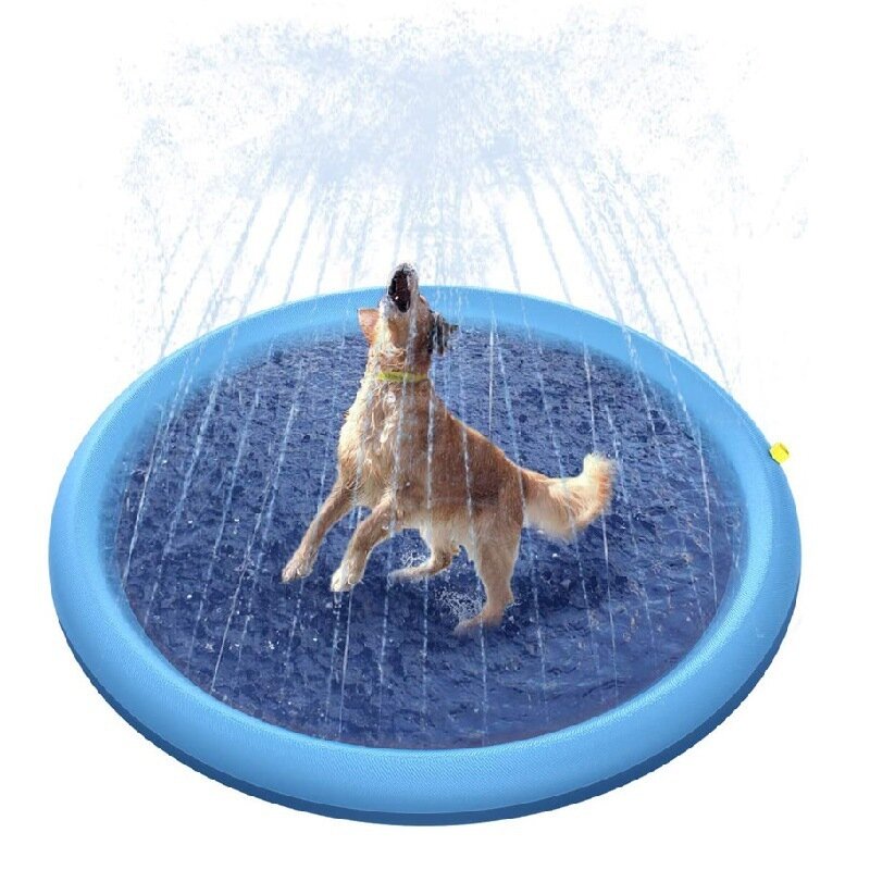 Fun Water Play for Kids and Pets