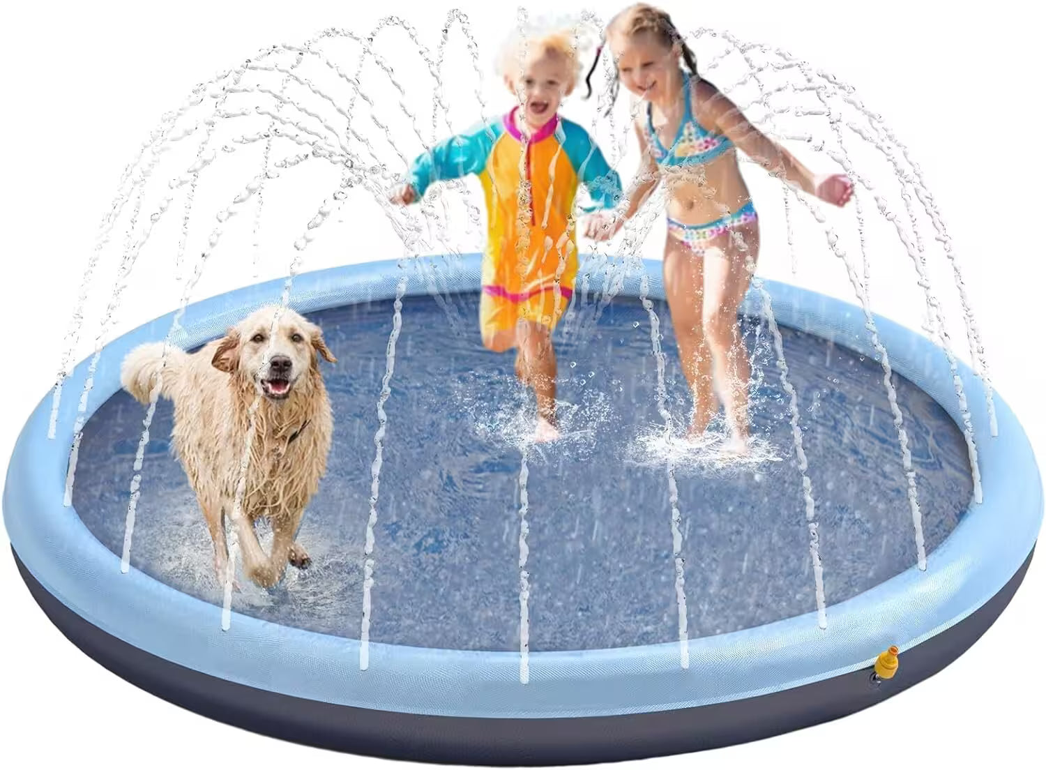 Children playing in a inflatable water play area with a dog.