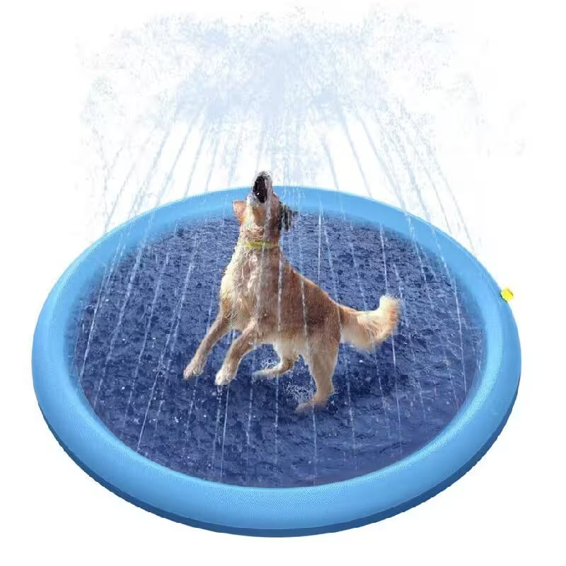 Dog playing on a blue sprinkler pad with water splashing around