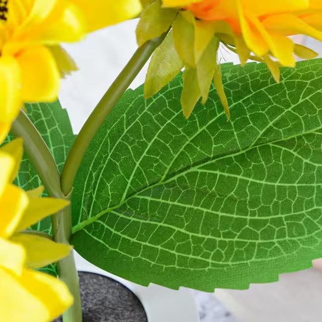 Close-up of a sunflower with detailed green leaves and yellow petals.