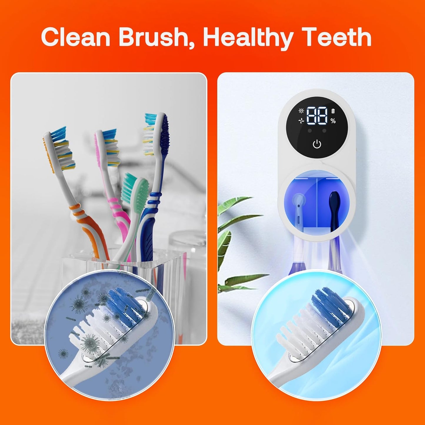 Toothbrush Holder