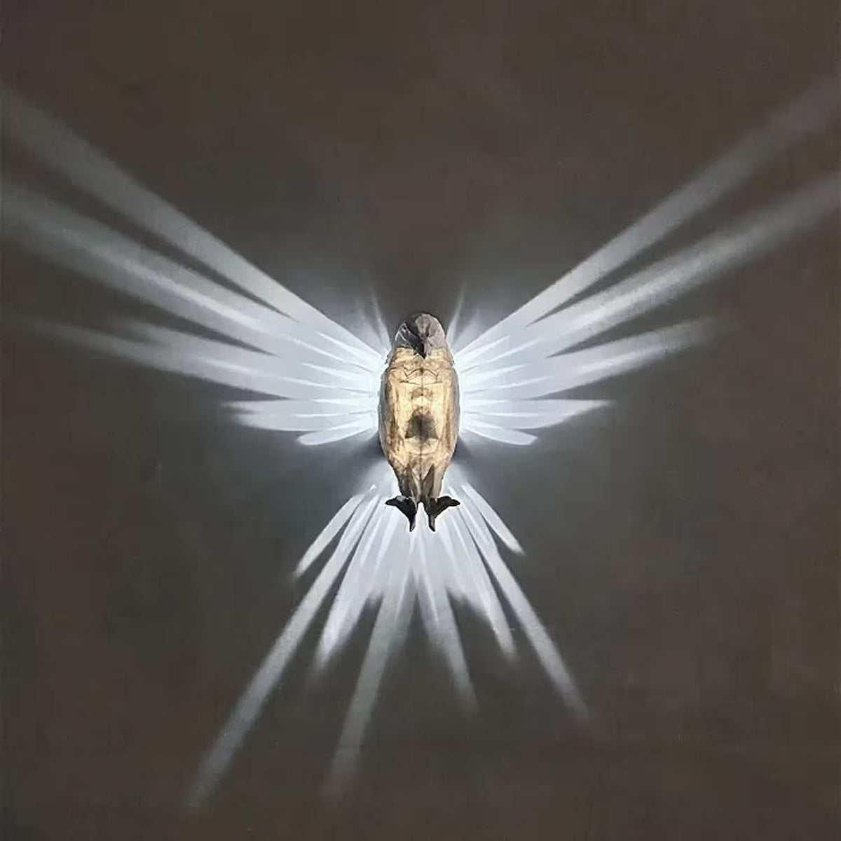 Decorative wall light fixture casting a starburst pattern on a dark wall.