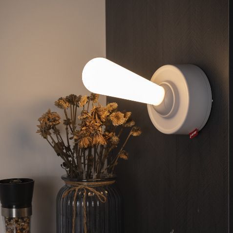 Wall-mounted light fixture on a dark wall with a vase of dried flowers below.
