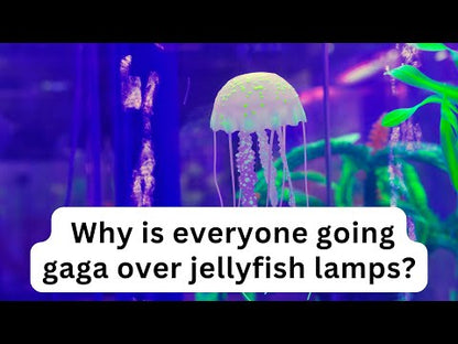 Jellyfish Lamp YouTube Video