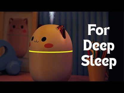 Humidifier For Bedroom YouTube Video