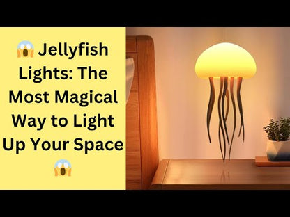 Jellyfish Lights YouTube Video