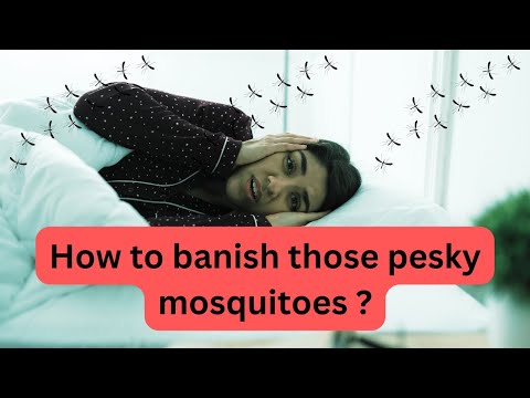 Mosquito Zapper YouTube Video