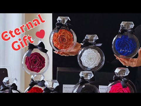 Eternal Preserved Rose Gift Natural Forever Flower in Diamond Case Romantic Valentine Ornament for Her YouTube Video