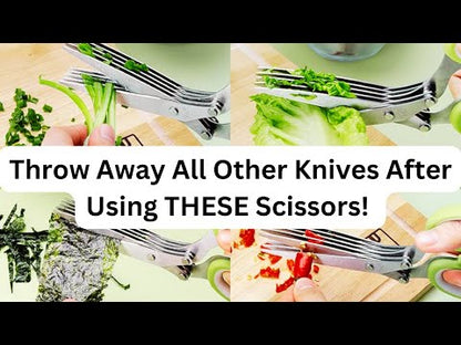 Kitchen Scissors YouTube Video