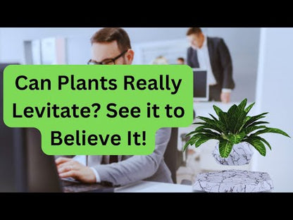 Plant Pot YouTube Video