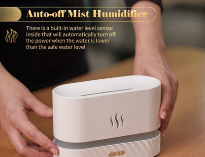 Diffuser Home Dehumidifier with Auto-off system
