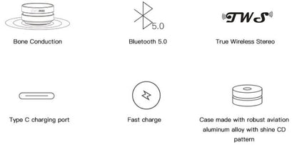 Hummingbird Sound Box - Fast Charge with TWS ( True Wireless Stereo ) 